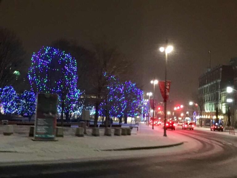 10+ Must Places to See Christmas Lights in Ottawa [2024]