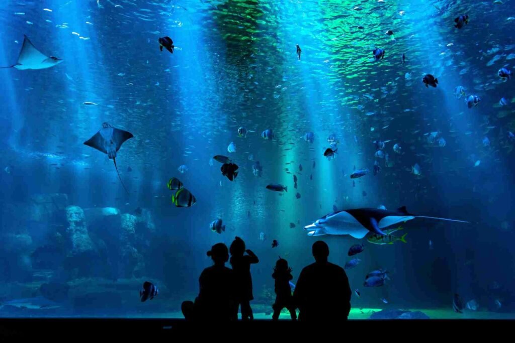 Photo of Ripley’s Aquarium at Night in Toronto city