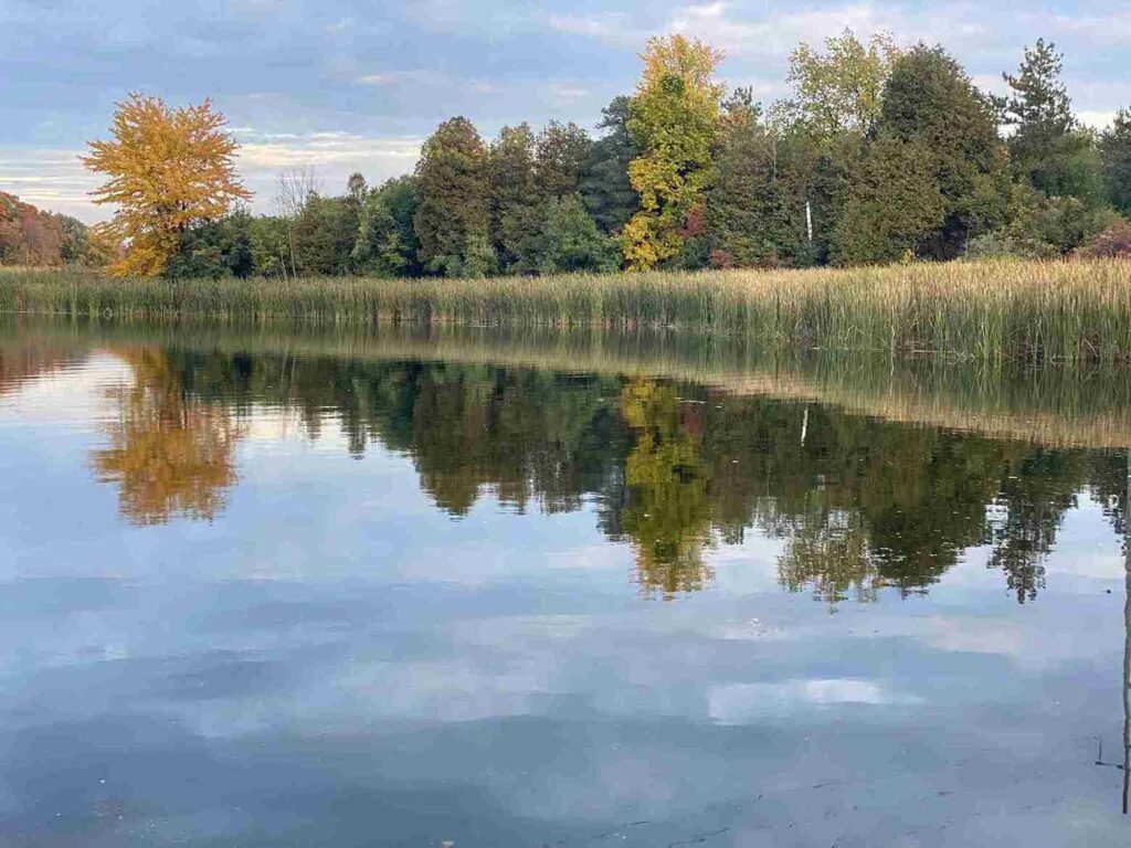 Laurel Creek Conservation